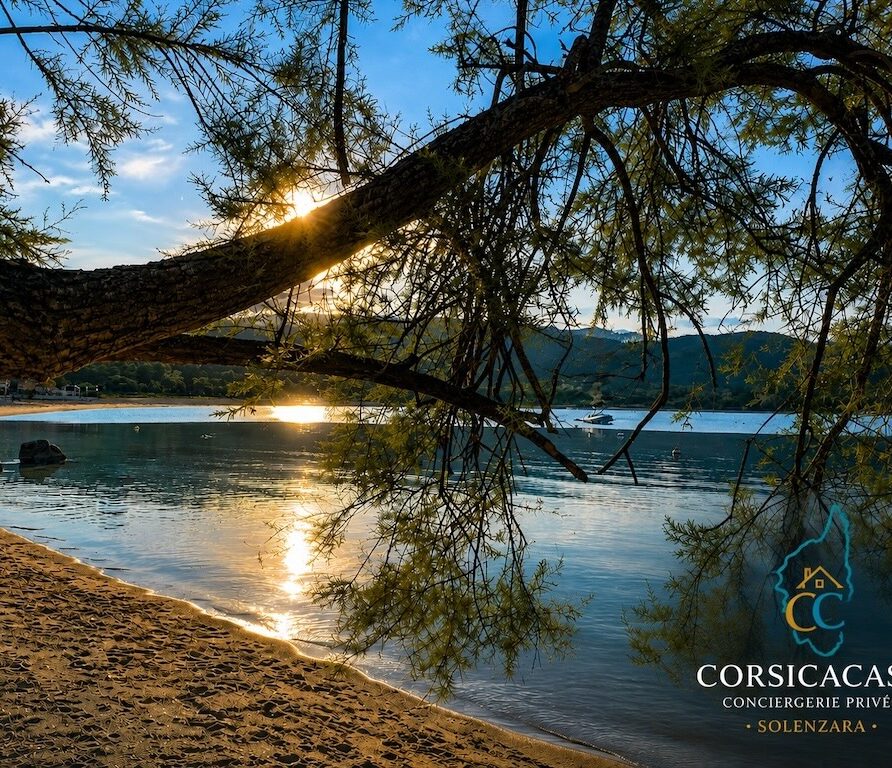 Nos locations vacances en Corse 86