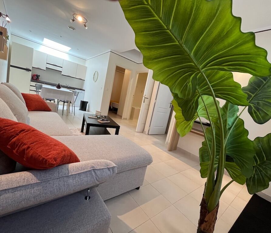 Salon avec cuisine ouverte dans mini villa à Favone proche Solenzara en Corse